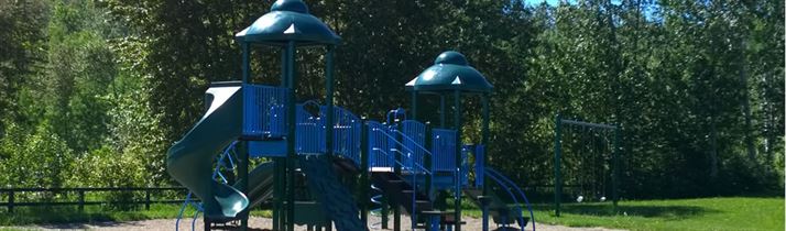 All Children enjoy a Playground!